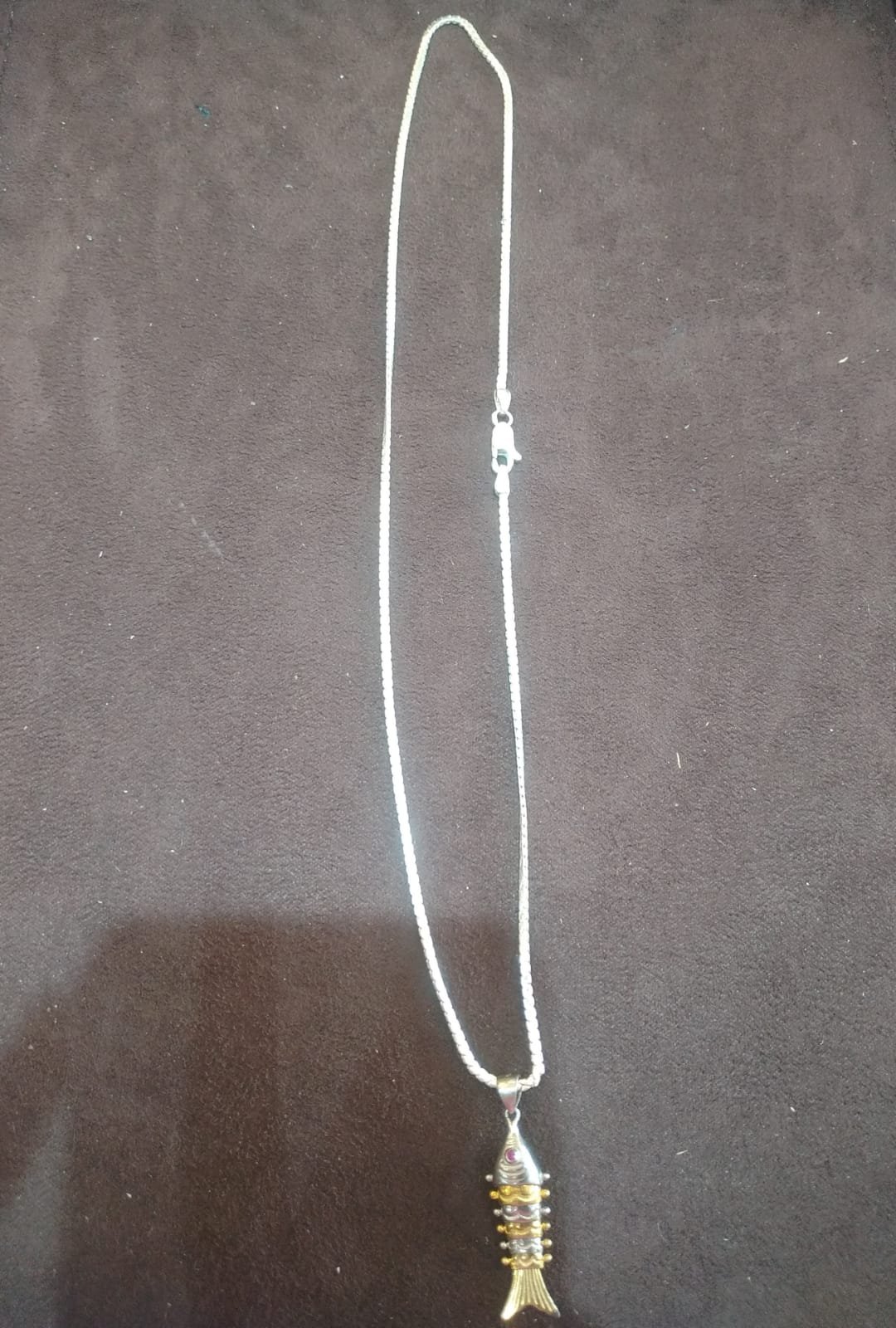 Silver Chain And Dollar